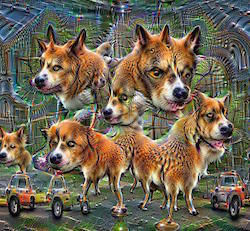 DeepDream output 1